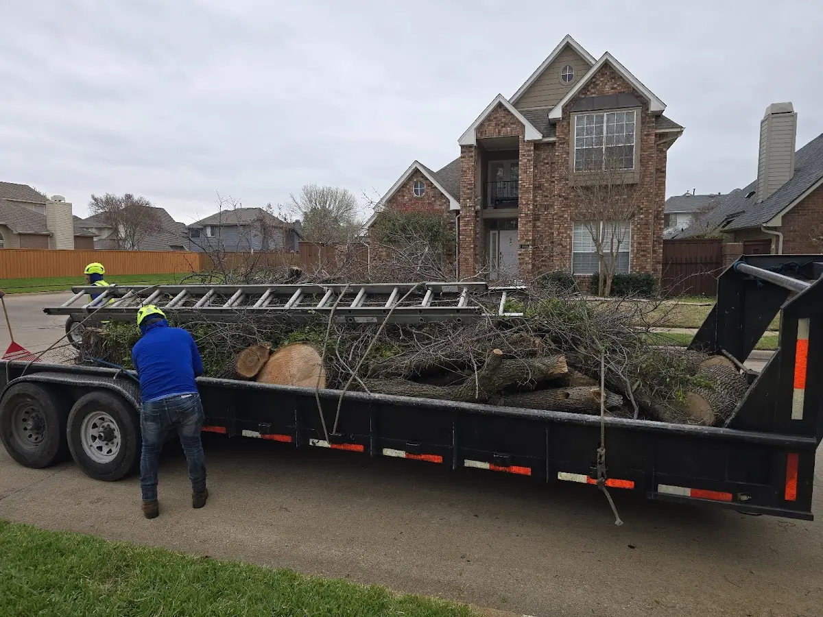 Expert Crown Reduction with proper safety equipment in Otter Creek